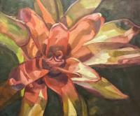 Blushing Bromeliad - Oil On Canvas Paintings - By Claudia Thomas, Botanical Painting Artist