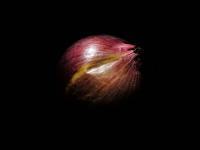 Onion - Eye Photography - By Cagri Yilmaz, Detail Photography Artist