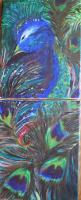 Variety - Peacock - Acrylics