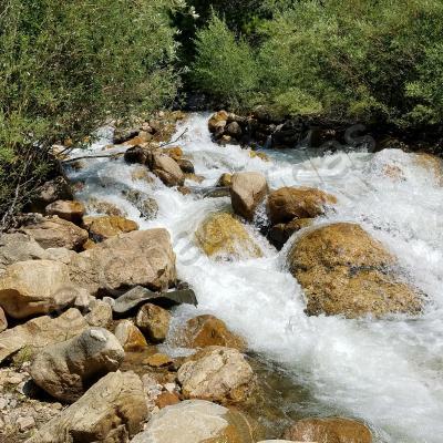 Chads Outdoors - Mountain Stream - Digital