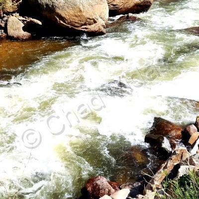 Chads Outdoors - Mountain Stream - Digital