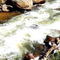 Chads Outdoors - Mountain Stream - Digital