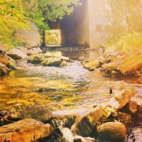 Mountain Stream - Digital Photography - By Chad Vidas, Photography Photography Artist