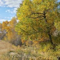 Rocky Mountain - Digital Photography - By Chad Vidas, Photography Photography Artist