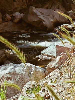 Chads Outdoors - Mountain Stream - Digital