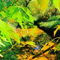 Autumn Day - Digital Photography - By Chad Vidas, Photography Photography Artist