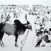 The Black Pride - Ink On Canvas Drawings - By Achala Gangaadhara, Figurative Drawing Artist