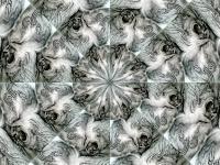 Horses - - Digital - By Sonia P, Calligraphy-Painting Digital Artist