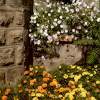 A Cozy Place - - Photography - By Sonia P, - Photography Artist