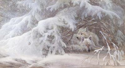 Wildlife - Winter Lullaby - Acrylics