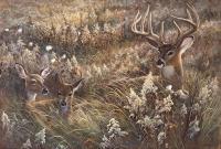 A Peaceful Place - Acrylics Paintings - By Duane Geisness, Wildlife Painting Artist