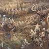 A Peaceful Place - Acrylics Paintings - By Duane Geisness, Wildlife Painting Artist