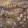 A Peaceful Place - Acrylics Paintings - By Duane Geisness, Wildlife Painting Artist
