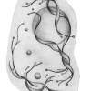 Sketch 2 - Pencil Cardboard Drawings - By Polina Lakhtina, Subjective Realism Drawing Artist