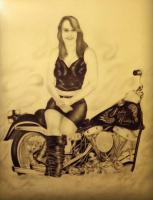 Lady Rider - Ink And Pencil Drawings - By James Shaw, Portrait Drawing Drawing Artist
