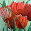 Tulips - Oil Paintings - By Geert Winkel, Realistic Painting Artist