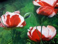 Flouwer Paintings - Papavers - Acrylyc