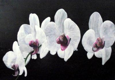 Flouwer Paintings - Gewoon Mooi - Acrylyc