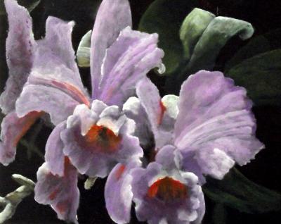 Flouwer Paintings - Orchidee - Acrylyc