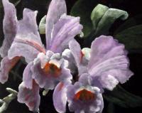 Flouwer Paintings - Orchidee - Acrylyc