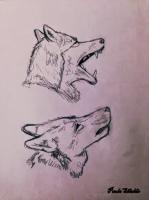 Pencil Drawings - Wolves - Pencil