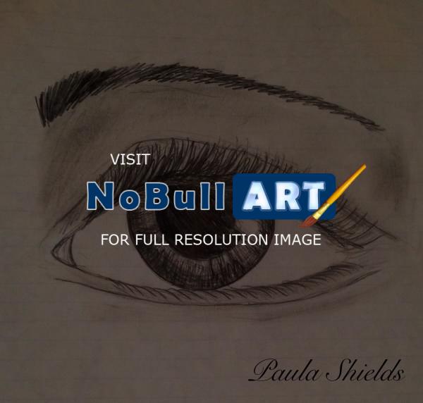 Pencil Drawings - Human Eye - Pencil