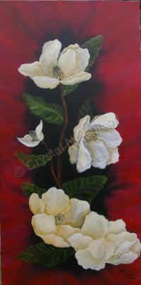 Flowers - Magnificent Magnolias - Oil