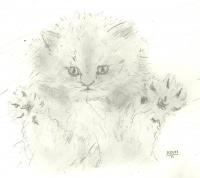 Animals - Kitten Hugs - Pencil