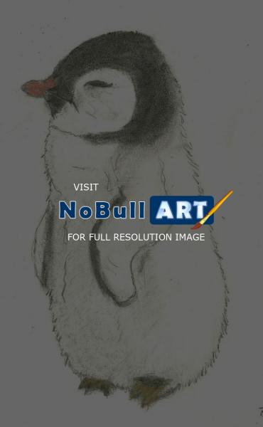 Animals - Baby Penguin - Pencil With Pastel Chalk