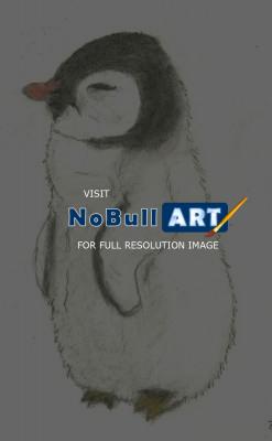 Animals - Baby Penguin - Pencil With Pastel Chalk