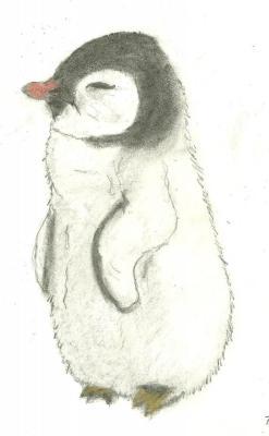 Animals - Baby Penguin - Pencil With Pastel Chalk