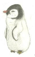 Baby Penguin - Pencil With Pastel Chalk Drawings - By Paul Sullivan, Traditional Drawing Artist