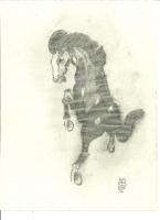 Dark Horse Rising - Pencil Drawings - By Paul Sullivan, Traditional Drawing Artist
