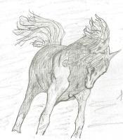 Animals - Running Horse - Pencil