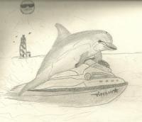 Dolphin Riding Jetski - Pencil Drawings - By Paul Sullivan, Traditional Drawing Artist