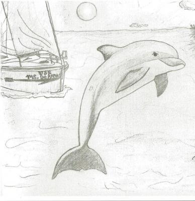 Animals - Boat At Dolphin Beach - Pencil