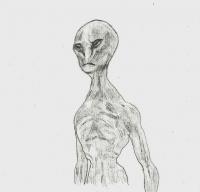 Gray Alien - Pencil Drawings - By Paul Sullivan, Traditional Drawing Artist