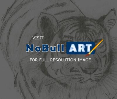 Animals - Tiger 3 - Pencil