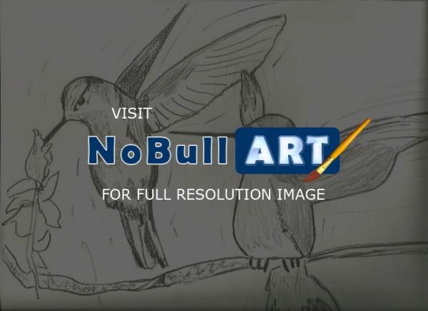 Animals - Hummingbirds - Pencil