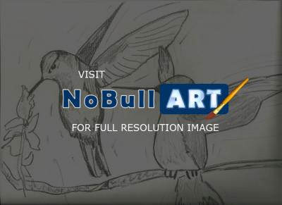 Animals - Hummingbirds - Pencil