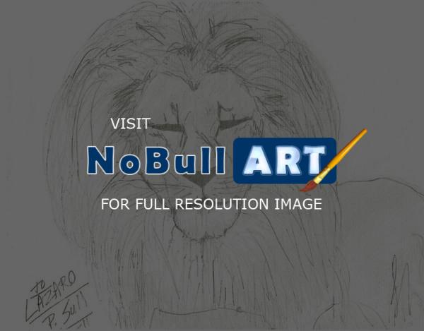 Animals - Lion - Pencil