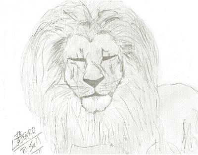 Animals - Lion - Pencil