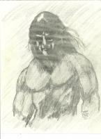 Conan - Pencil Drawings - By Paul Sullivan, Traditional Drawing Artist