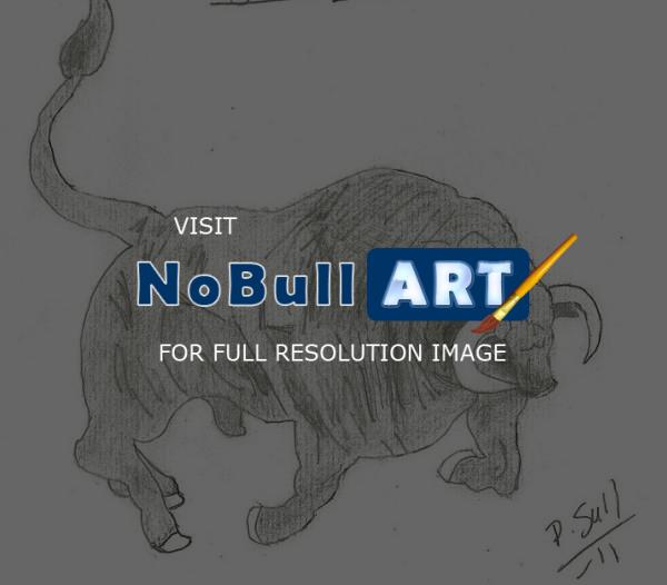Animals - Raging Bull - Pencil