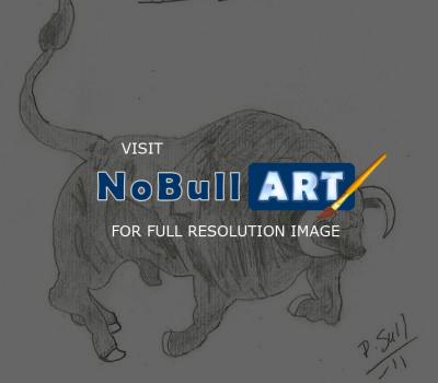 Animals - Raging Bull - Pencil