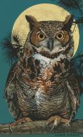 Great Horned Owl - Digital And Traditional Paintings - By John Dyess, Mixed Media Painting Artist