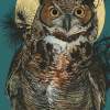 Great Horned Owl - Digital And Traditional Paintings - By John Dyess, Mixed Media Painting Artist