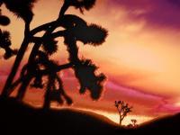 High Desert Dawn - Photography Mixed Media - By Dean Uhlinger, Surrealism Mixed Media Artist