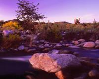 Santa Fe Style - Deer Creek Dusk - Photography