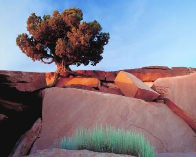 Santa Fe Style - Dead Horse Point - Photography